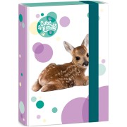 Box na zošity Cute Animals srnček A5