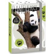 Box na zošity Cute Animals panda A5