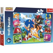 Puzzle Zoznámte sa so Sonicom/Sonic the Hedgehog 100 dielikov