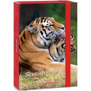 Ars Una Box na zošity A4 Serenity Tiger
