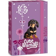 Ars Una Box na zošity Cute Animals - šteňa A4