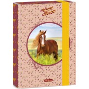 Ars Una Box na zošity My Sweet Horse A5