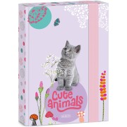 Ars Una Box na zošity Cute Animals - mačiatko A5