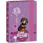 Ars Una Box na zošity Cute Animals - šteňa A5