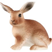 Zajac poľný mláďa zooted