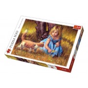 Puzzle Dievčatko s mačkou maľované 500 dielikov 48x34cm