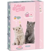 Box na zošity A5 Ars Una Cute Animals - Tea Party