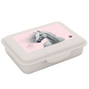 Box na desiatu s priehradkou Oxybag Kôň romantic