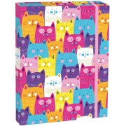 Box na zošity A5 Kittens