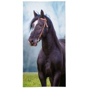 Osuška Kôň čierny