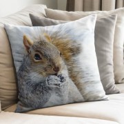 Dekoračný povlak Matějovský Squirrel