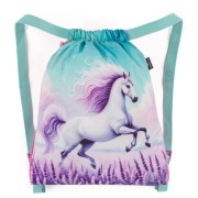 Vak na chrbát Bagmaster LUMI 26 B