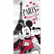 Osuška Mickey a Minnie In Paris