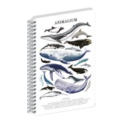NOTIQUE Špirálový blok Animalium – Pod morom, linajkovaný, A5