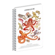 NOTIQUE Špirálový blok Animalium – Hlavonožce, linajkovaný, A5