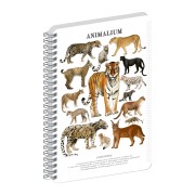 NOTIQUE Špirálový blok Animalium – Mačkovité šelmy, štvorčekovaný, A5