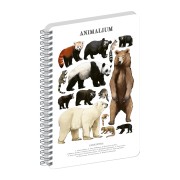 NOTIQUE Špirálový blok Animalium – Medveďovité šelmy, čistý, A4