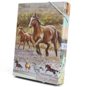 Box na zošity A5 Wild horses